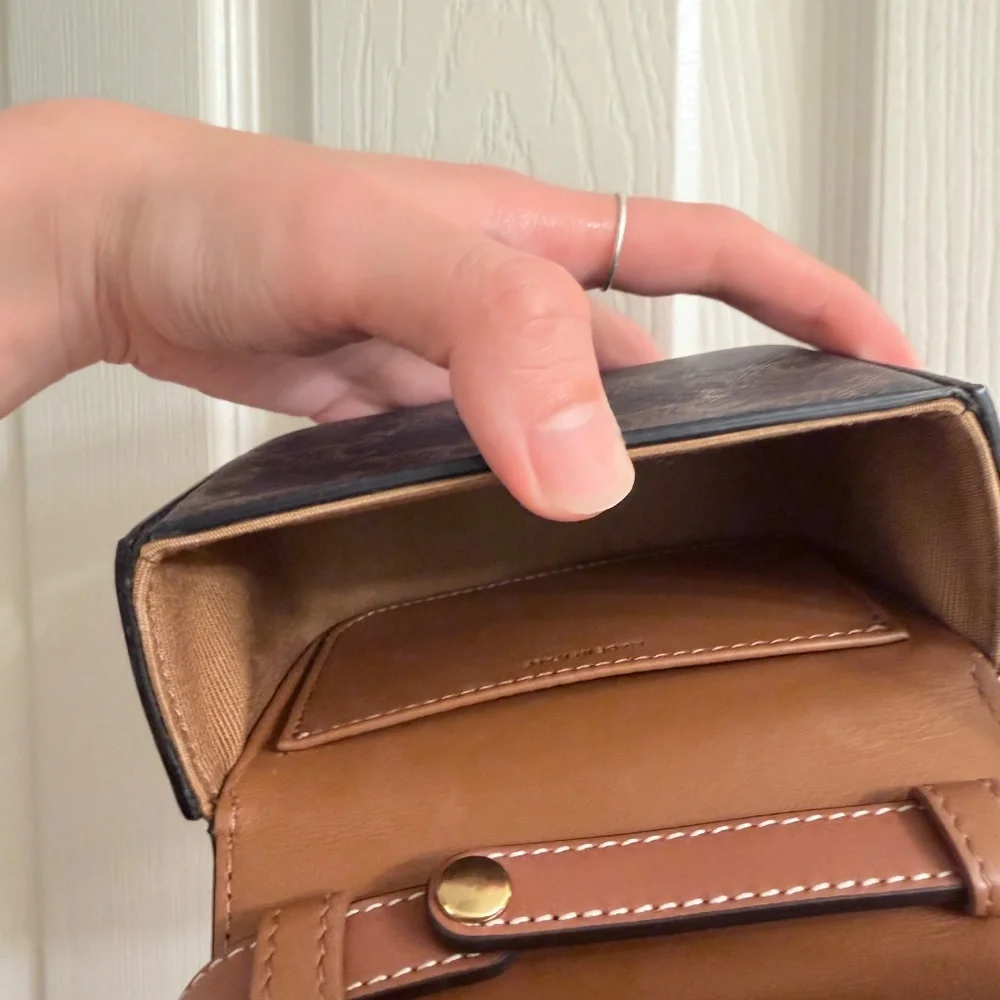 Celine Mini Triomphe - Picture 10 of 11